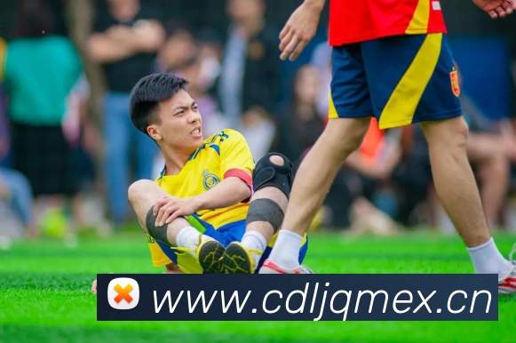 多媒体互动体验