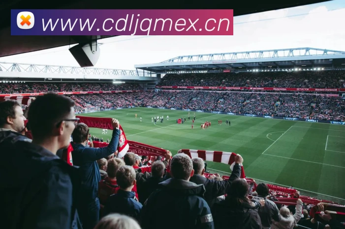 云开体app登录入口APP 高清赛事图